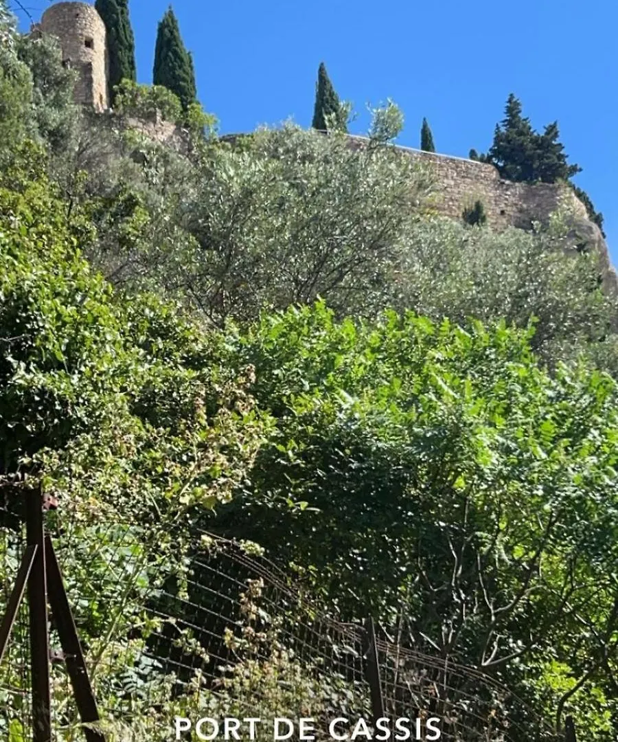 Appartement Cassis Studio 50M De La Grande Plage